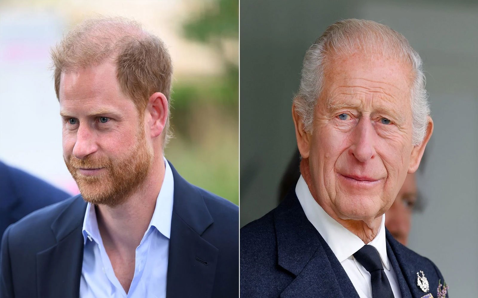 Prince Harry King Charles meeting