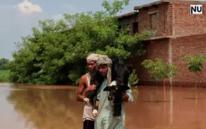 Punjab Farmers Face Worst Floods in 30 Years, Crops Destroyed